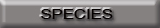 submarine species