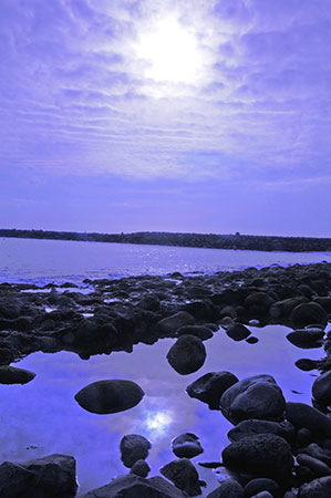 _DSC1641