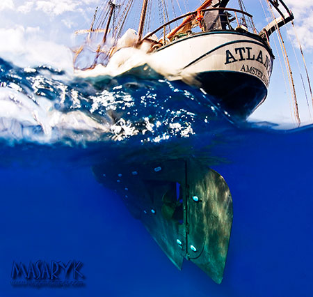 ATLANTIS-(2)