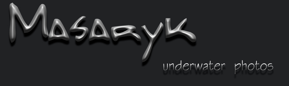 photographer, fotografo, scubadiving, underwater photography, fotosub, for sale underwater photos, D300, Hugyfot